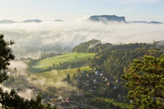 Rathen with Lilienstein in the morning mist