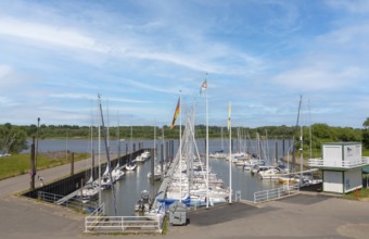 Jork marina on the Elbe, Altes Land, Stade district, Germany, Europe