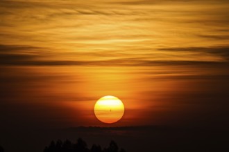 Sunrise over the trees, Rwanda, Africa