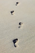 Footprints in the sand, Scotland, Great Britain