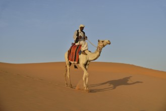 Man on camel, Meroë, Nubia, River Nile state, Sudan, Africa