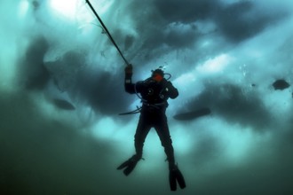 Scuba diver under ice, Lake Baikal, Olkhon Island, Pribaikalsky National Park, Irkutsk Province,