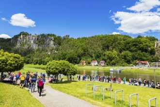 Rathen in Saxon Switzerland, queue for the ferry across the Elbe River