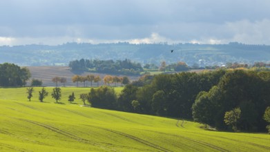 Autumnal field landscape near Possendorf in the Eastern Ore Mountains