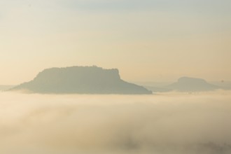 Lilienstein in the morning mist