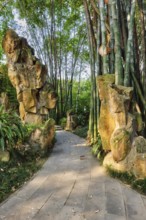 Path in bamboo forest brove in Wangjiang Pavilion (Wangjiang Tower) Wangjianglou Park. Chengdu,