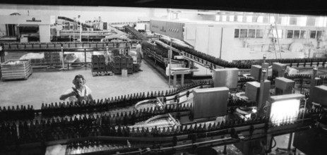 Beer production at the Dortmunder Aktien-Brauerei (DAB) on 29.07.1975 in Dortmund, Germany, Europe