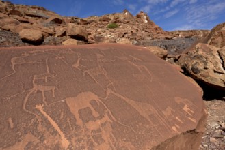 Rock engravings on a stone slab, near Rhino Spring, Mik Mountains, Kunene Region, Namibia, Africa