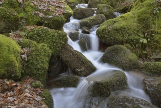 Gaishöll Waterfalls, near Sasbachwalden, Black Forest, Baden-Württemberg, Germany, Europe