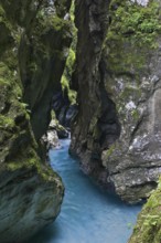 Tolmin gorge, gorge with moss-covered steep rock walls, wild stream with blue water, Slovenia,