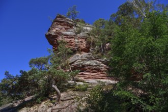 Red sandstone rocks on the Dahner Felsenpfad, Dahn, Südwestpfalz district, Rhineland-Palatinate,