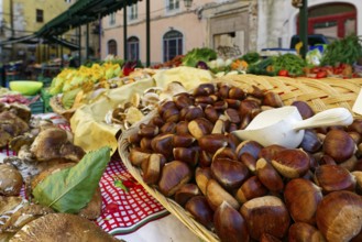 Vegetable stall with chestnuts, chestnuts, mushrooms, Via Domenico Cavalca, Old Town, Pisa,