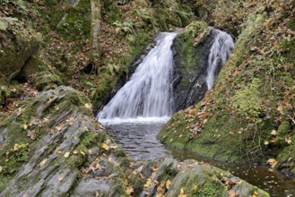 Waterfall in the wild Endert Valley, Moselle, Rhineland-Palatinate, Germany, Europe