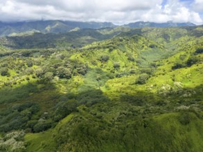 Aerial view of Kuilau Ridge Trail, Moalepe Road, Kauai, Hawaii, USA, North America