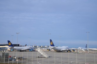 Airport during the corona crisis parked Lufthansa boeing 747, Frankfurt am Main, Hesse, Germany,