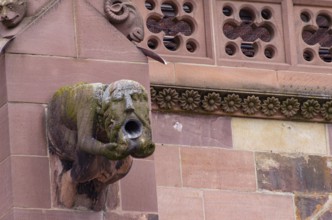 Gargoyles on the buttress of the Freiburg Cathedral, the Cathedral of Our Lady, in the old town of