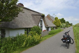 Detached houses on the dyke of Tönning, Schleswig-Holstein, Germany, Europe