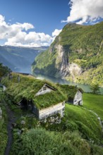 Old farm buildings Skageflå and Geirangerfjord, near Geiranger, Møre og Romsdal, Norway, Europe