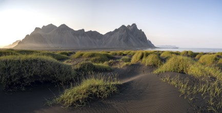 Black beach with volcanic sand, sandy beach, dunes with grass, Stokksnes headland, Klifatindur