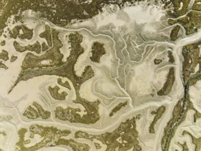 Network of dry channels and streams at low tide, in the marshland of the Bahía de Cádiz, aerial