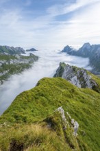 View of mountain peaks above the sea of clouds, Säntis mountains and valley of Meglisalp, high fog,