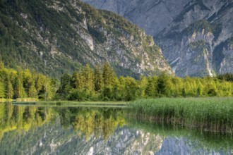 Almsee with reflection, Grünau, Almtal, Salzkammergut, Upper Austria, Austria, Europe