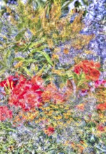 Oil painting-like picture, various bright flowers, red, yellow and purple flowers creative,