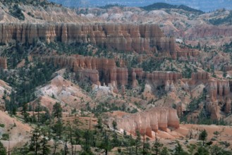 Bryce Canyon, Utah, USA, North America