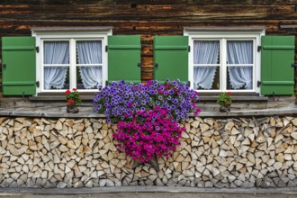 Window with geraniums on an old farmhouse and stacked firewood, Oberstdorf, Oberallgäu, Allgäu,