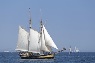 Sailing ships, Baltic Sea, Hanse Sail, Warnemünde, Rostock, Mecklenburg-Western Pomerania, Germany,