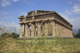 Temple of Poseidon, 2nd Temple of Hera, in Paestum, Campania, Italy, Europe