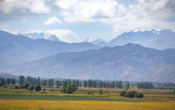 View over fields in the Chüi valley and the mountains of the Kirghiz Ala Too range, near Tokmok,