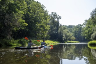 Kayakers in the river landscape of the Thaya in late summer, Czech Republic, Europe