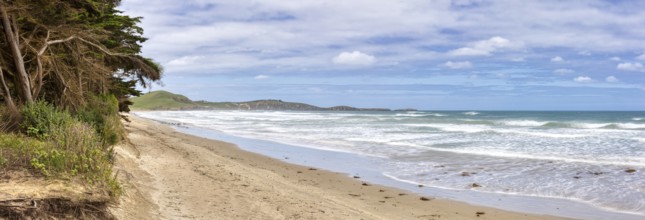 Katiki Beach, Otago, New Zealand, Oceania