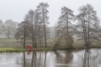 Boat under alders (Alnus glutinosa) in the fog by the water, Emsland, Lower Saxony, Germany, Europe