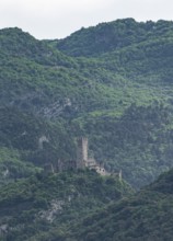 Castle, Castel Drena, Arco, Trentino-Alto Adige, Italy, Europe