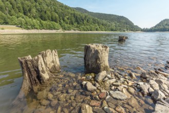 Water level drops in mountain lake in summer. Wildenstein, Vosges, Alsace, France, Europe