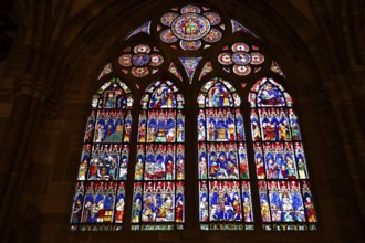 Stained glass windows in the Cathédrale Notre Dame de Strasbourg, Strasbourg Cathedral, Unesco