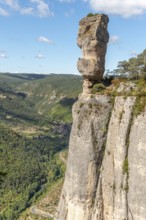 The vase of Sevres, spectacular rock in the Jontes Gorges. Le Rozier, Lozere, france