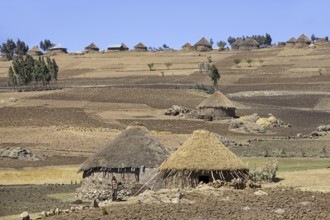 Farmer in front of traditional round stone huts with thatched roofs in the Ethiopian highlands,