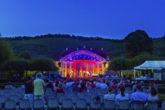 TANGO PIAZZOLLA Ballet on the Vineyard