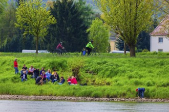 Elbe bank near Coswig