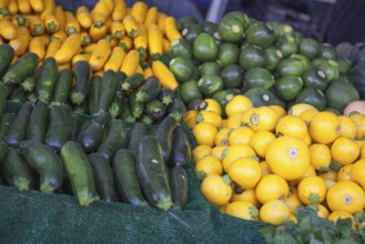 Freshly picked selections of organic vegetable varieties on display at the farmers market