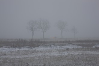 First snow in the Eastern Ore Mountains too