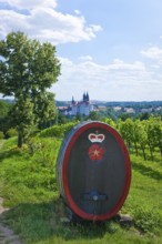 View of Meissen from the Proschwitz Winery