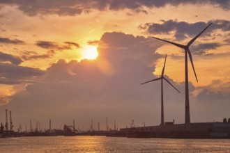 Wind turbines power electricity generators in Antwerp port on sunset. Antwerp, Belgium, Europe