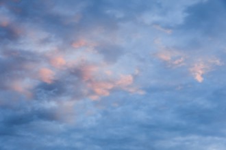 Pink-coloured fleecy clouds adorn the evening blue sky at sunset