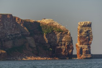 Red red sandstone cliff edge, Heligoland high sea island, Lange Anna, North Sea, blue sky,