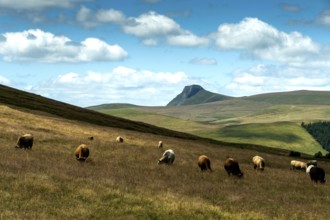 The Monts Dore. Auvergne Volcanoes Regional Nature Park. View of the Banne dOrdanche of volcanic