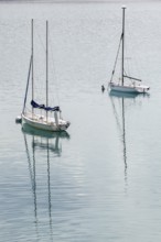 Sailing boats in Lac de Sainte-Croix, Sainte Croix du Verdon, Provence-Alpes-Côte d'Azur, Provence,